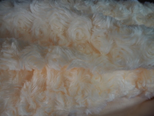 Ivory Minky Fabric